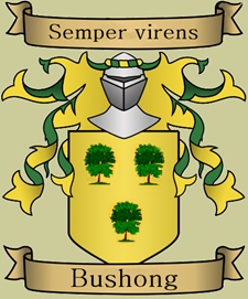 The French Bushong coat of arms - is NOT correct for the Colonial Bushong-Boschung line.
