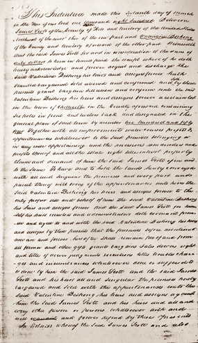 To view or copy full size - click on image - click Backspace to return