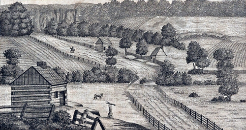 To view or copy full size, click on image - click Backspace to return