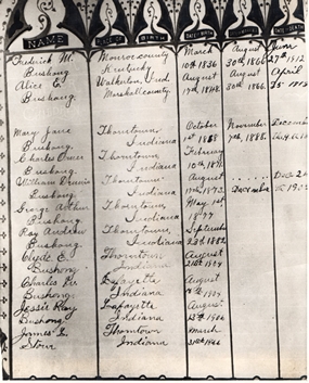 To view or copy full size, click on image - click Backspace to return