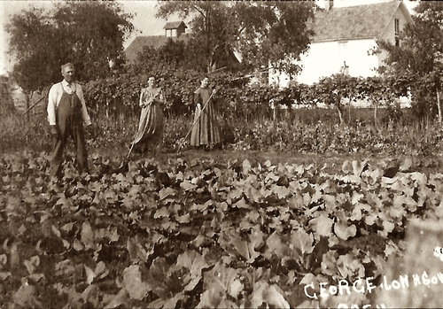 To view or copy full size, click on image - click Backspace to return