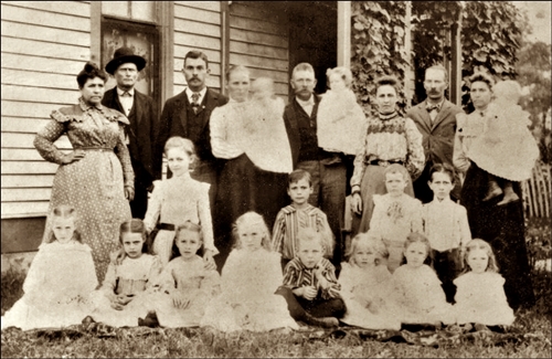 To view or copy full size, click on image - click Backspace to return