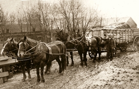 To view or copy full size, click on image - click Backspace to return