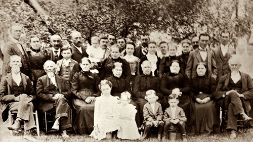 To view or copy full size, click on image - click Backspace to return