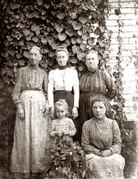 To view or copy full size, click on image - click Backspace to return